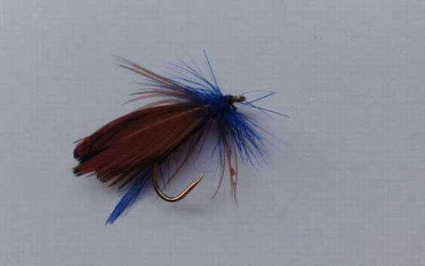 传统钓实用技巧大全