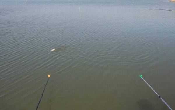 传统钓怎么选钓位?