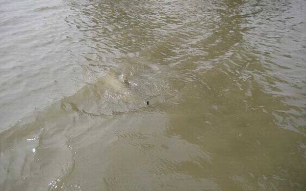 传统钓怎么选钓位?