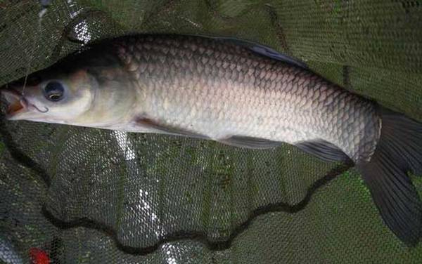 ������ô��Ч����ã�