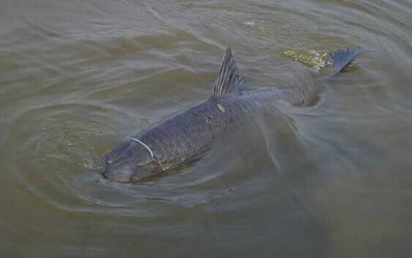 ������ô��Ч����ã�