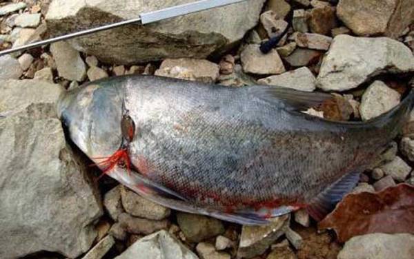 ����������ǵ��ף�