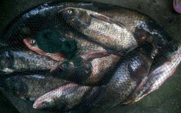 ����������ǵ��ף�