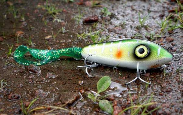 路亚桂鱼有哪些技巧?