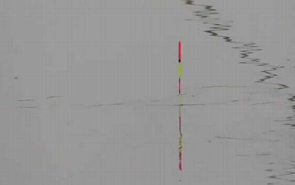 初冬钓鱼不开口怎么办?