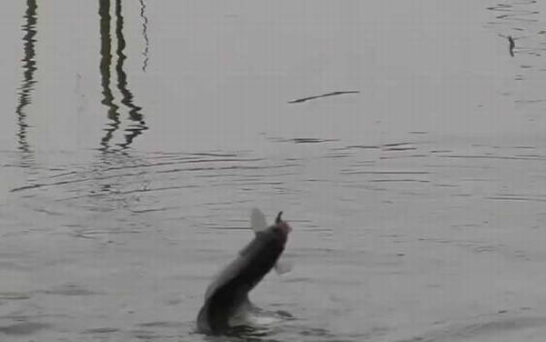 初冬钓鱼不开口怎么办?