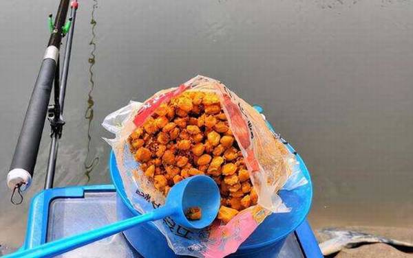 初冬钓鱼打窝需要多久发窝?