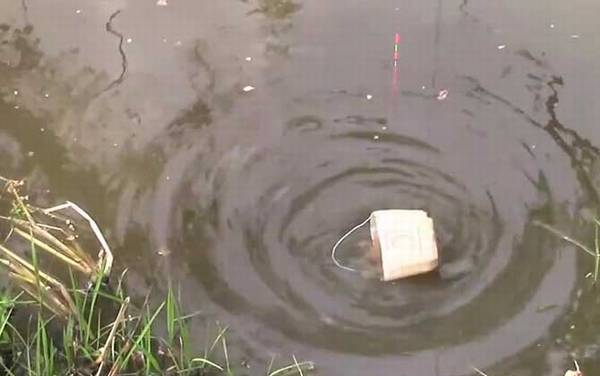 初冬钓鱼打窝需要多久发窝?