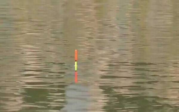 初冬水库钓鱼钓位怎么选择?