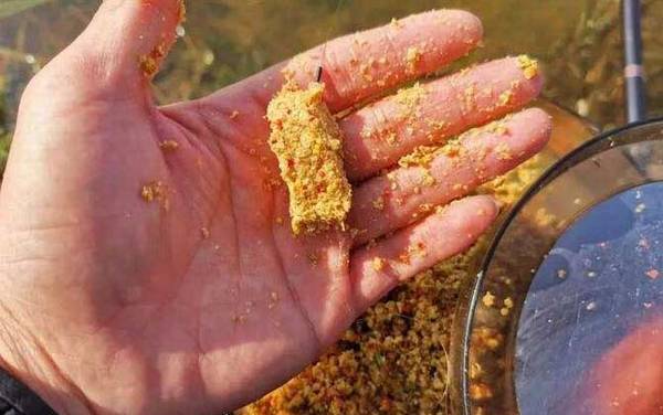 初冬钓鱼提前多长时间打窝?