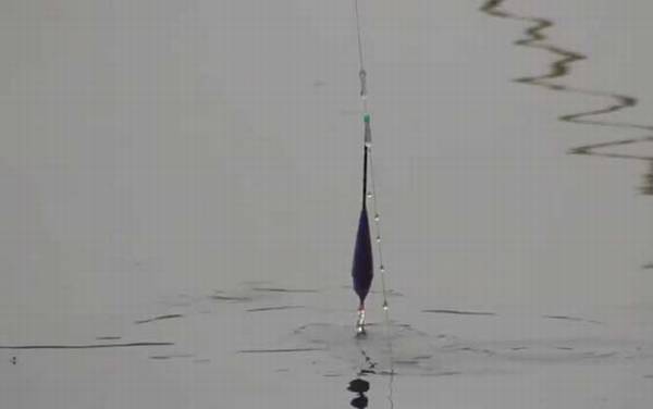 初冬钓鱼什么风向好钓?