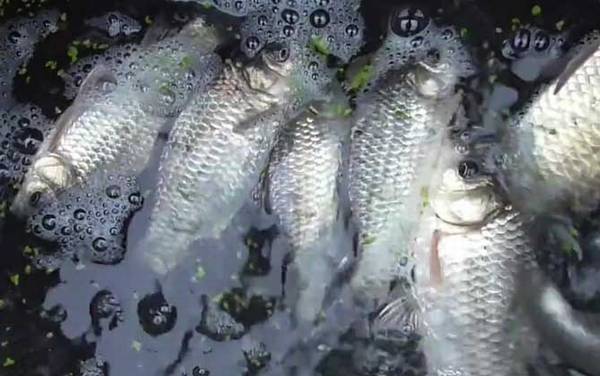 冬季钓鱼好钓吗?