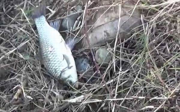 冬季钓鱼钓几米深最好?