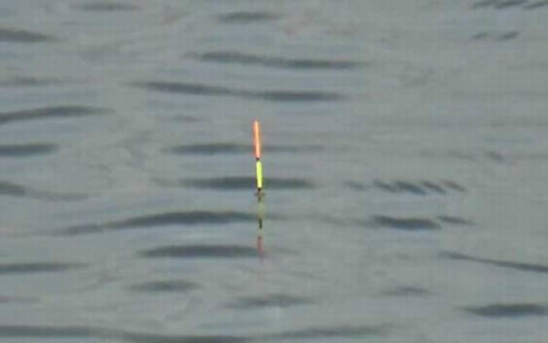 冬季钓鱼钓几米深最好?