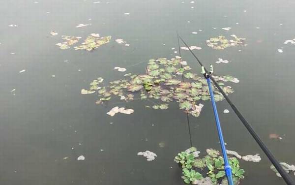 冬季钓鱼钓几米深最好?