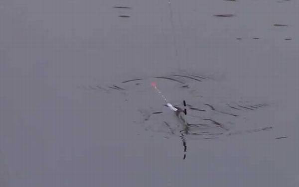 冬季钓鱼下雨天能钓鱼吗?