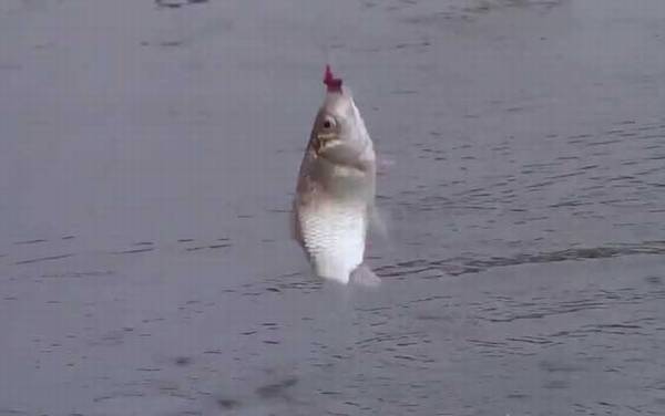 冬季钓鱼下雨天能钓鱼吗?