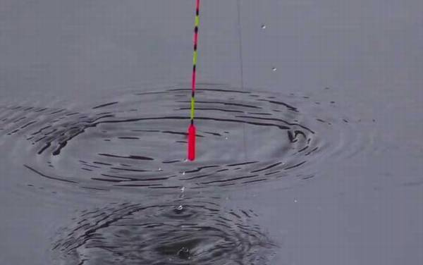 冬季钓鱼在上风还是下风?