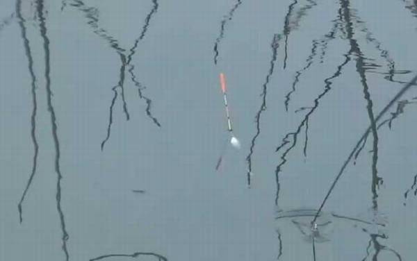 冬季钓鱼早上好还是晚上好?