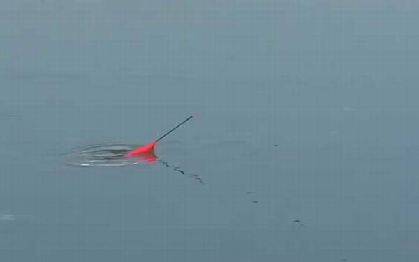 冬季钓鱼早上好还是晚上好?