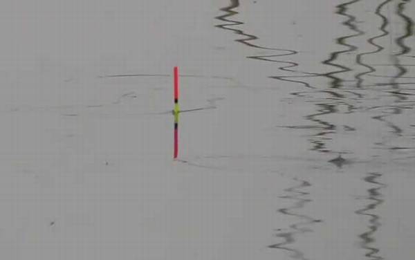 冬季钓鱼怎么调漂?