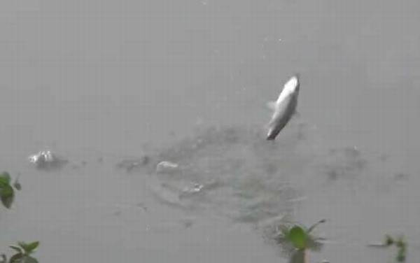 十一月钓鱼技巧和方法