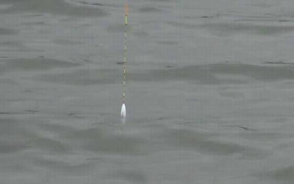 十一月钓鱼最佳时间是什么时候?