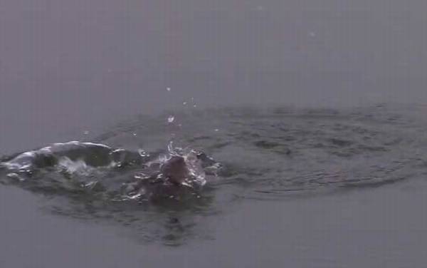 十二月钓鱼好钓吗?