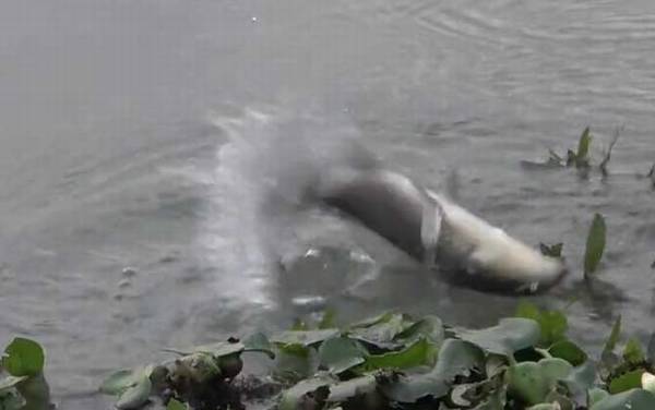 十二月钓鱼好钓吗?