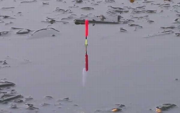 十二月份钓鱼什么时间段好?