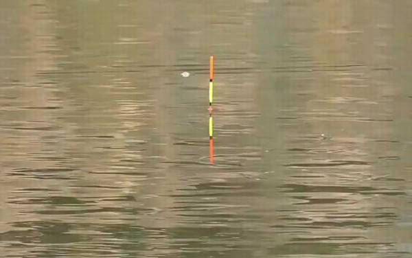 十二月份晚上还能钓鱼吗?