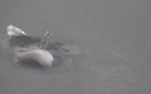 十二月份晚上还能钓鱼吗?