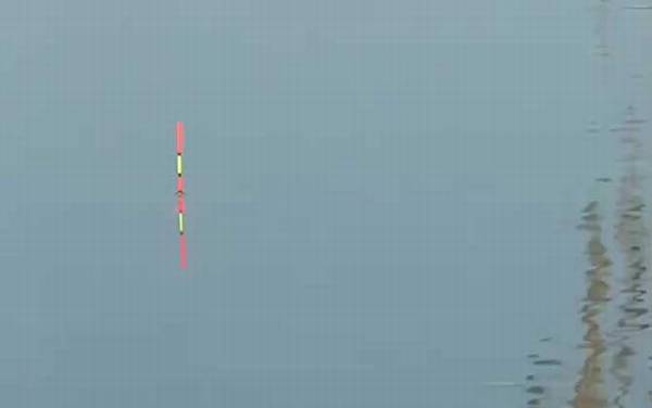 鱼漂的调法图解及漂相大全