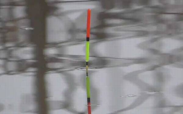 新手怎么调鱼漂和铅坠?