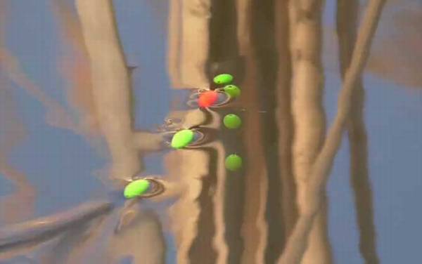 七星漂钓鱼技巧和方法