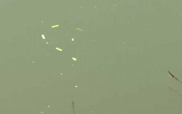 七星漂钓鱼技巧和方法