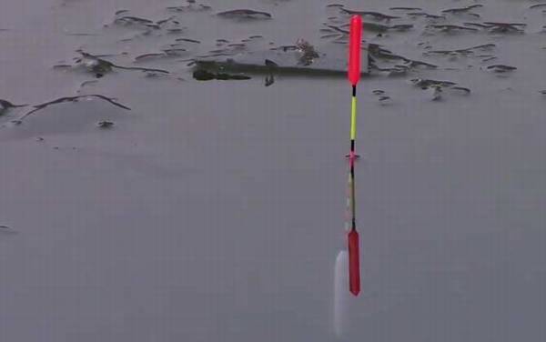 漂相是什么意思?