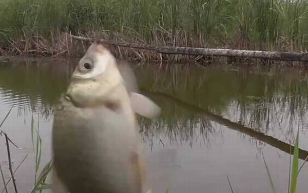 三月中旬适合钓鱼吗?