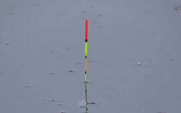 三月份钓鱼水深度多少合适?