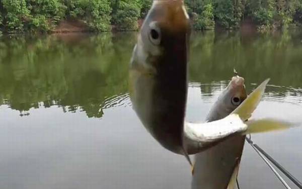 三月小雨好钓鱼吗?