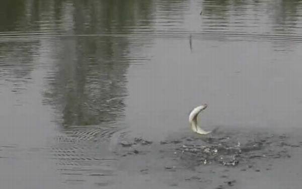 三月份刮什么风好钓鱼?