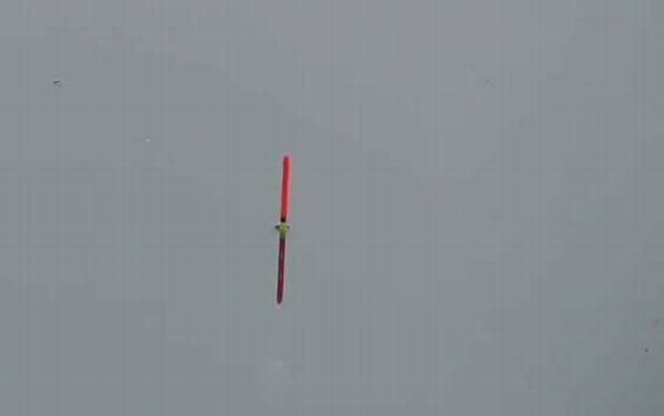 四月钓鱼没口怎么回事?