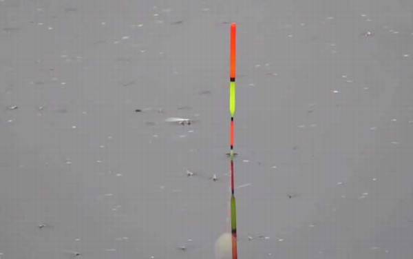 四月钓鱼水深多少合适?