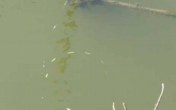 四月钓鱼选择什么位置最好?