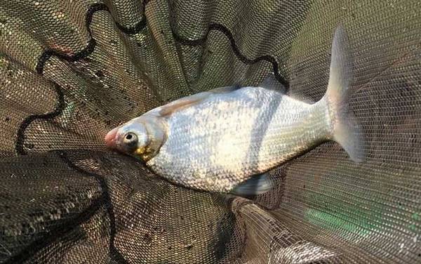 四月份可以钓鱼了吗?