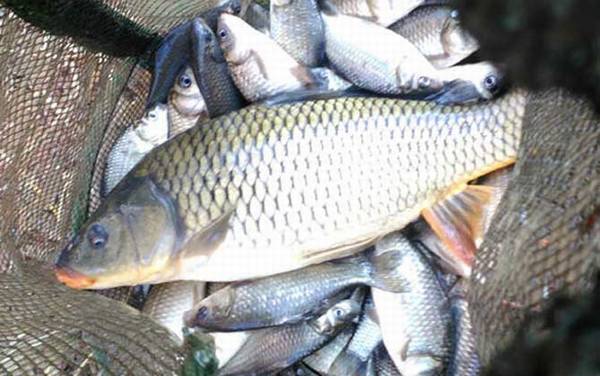 四月份雨天钓鱼好钓吗?