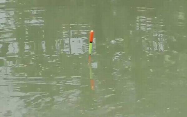 初夏钓鱼钓深水还是浅水?