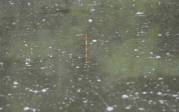 夏季钓鱼如何调漂?