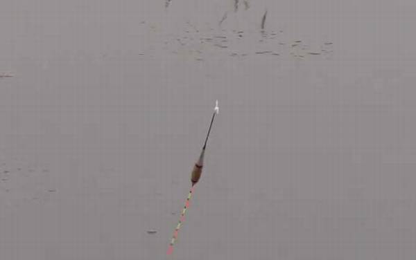 夏季钓鱼天气怎么选择?