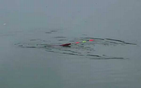 夏季钓鱼小鱼闹窝怎么解决?